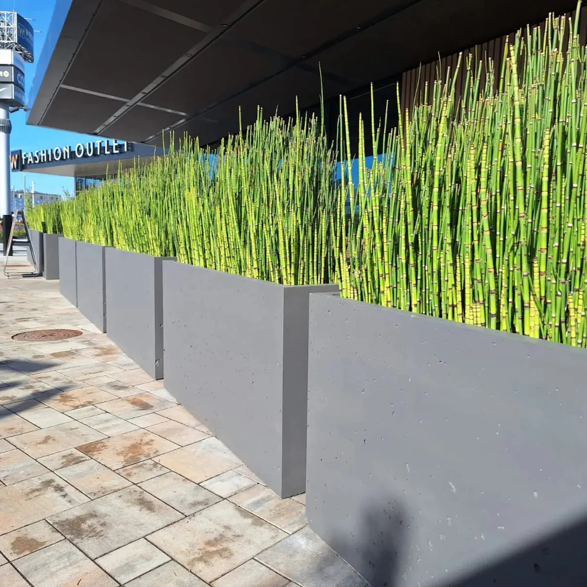 Outdoor Concrete Planters - Rectangle 50x120x50 cm in a commercial space outside Decormania.eu
